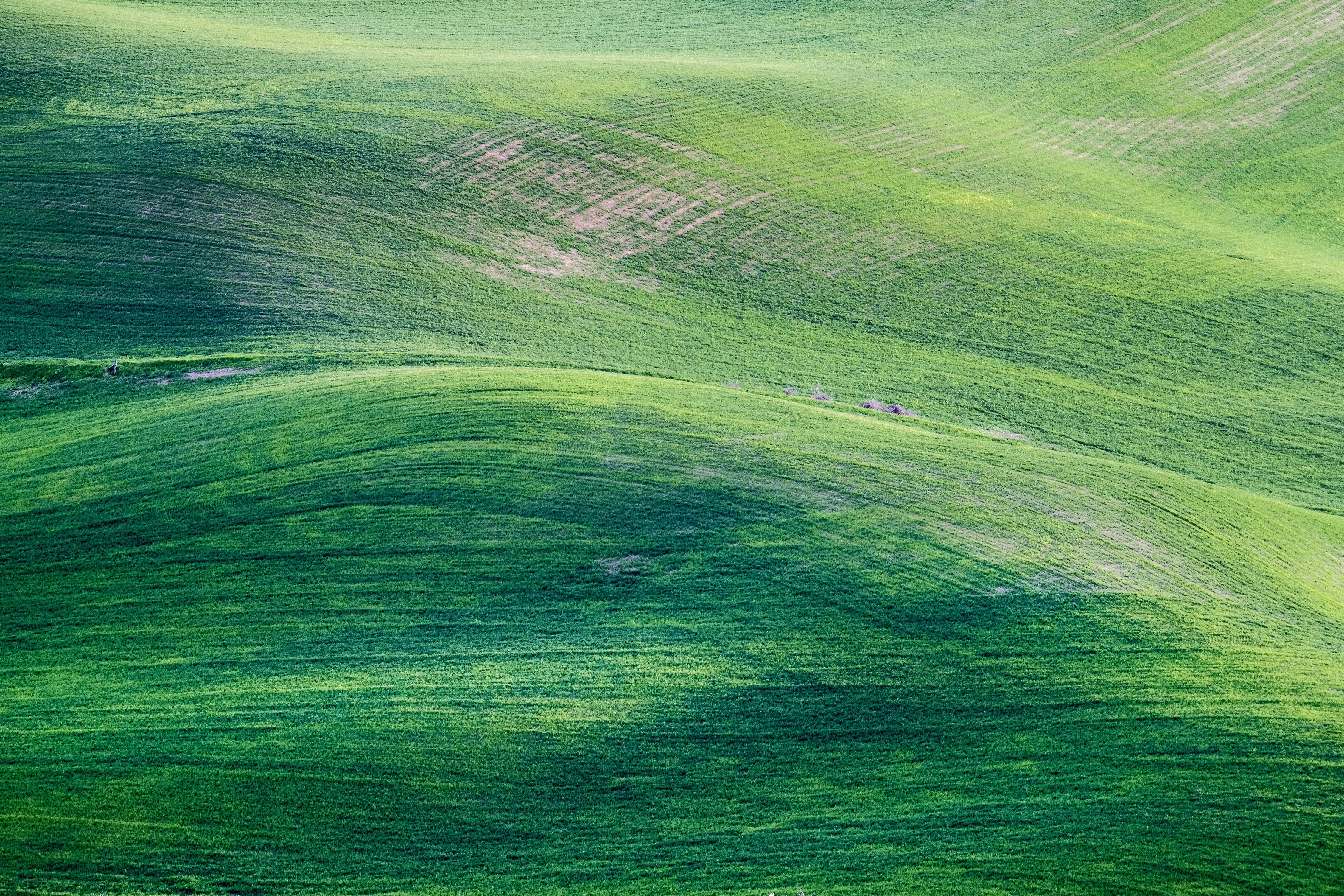 pictures of a field